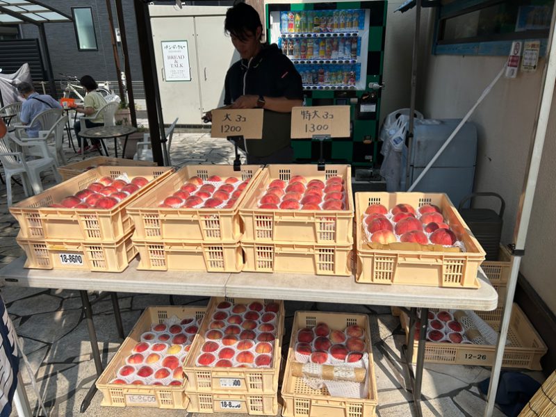 桃の直売開始